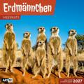 Erdmännchen Kalender 2027