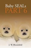 Baby Seals Part 6