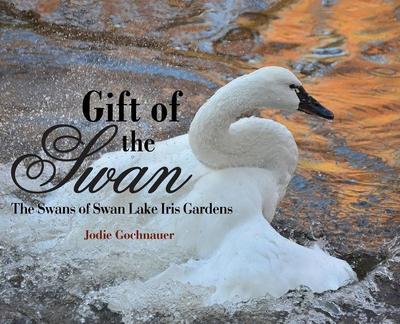 Gift of the Swan