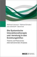 Die Systemische Interaktionstherapie und -beratung in den Erziehungshilfen