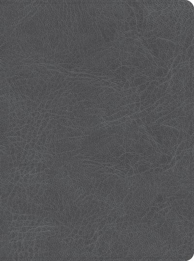 CSB He Reads Truth Bible, Smoke Leathertouch, Indexed