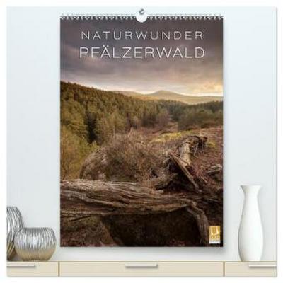 NATURWUNDER PFÄLZERWALD (hochwertiger Premium Wandkalender 2026 DIN A2 hoch), Kunstdruck in Hochglanz
