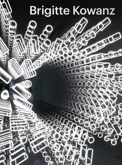 Brigitte Kowanz - Light is what we see