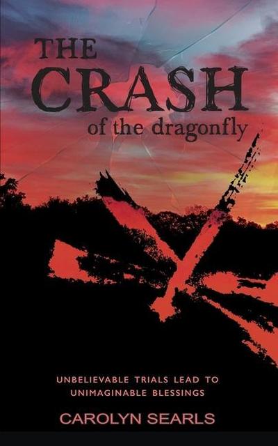 The Crash of the Dragonfly: Unbelievable Trials Lead to Unimaginable Blessings
