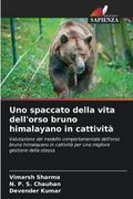 Uno spaccato della vita dell’orso bruno himalayano in cattività