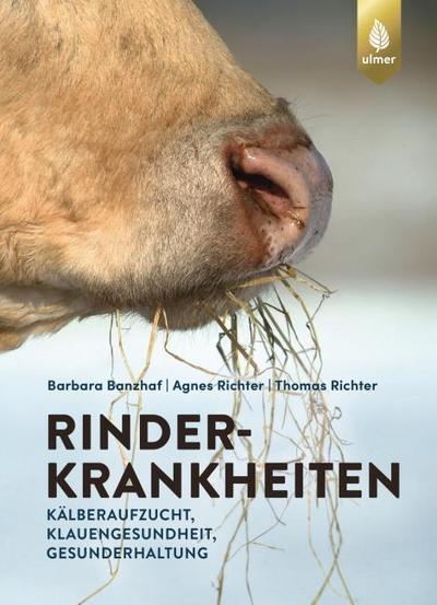 Rinderkrankheiten-Rinder gesund halten