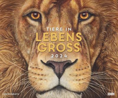 Tiere in Lebensgroß 2024