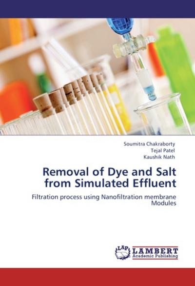 Removal of Dye and Salt from Simulated Effluent