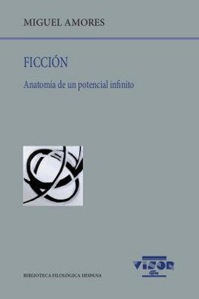 Ficción : anatomía de un potencial infinito