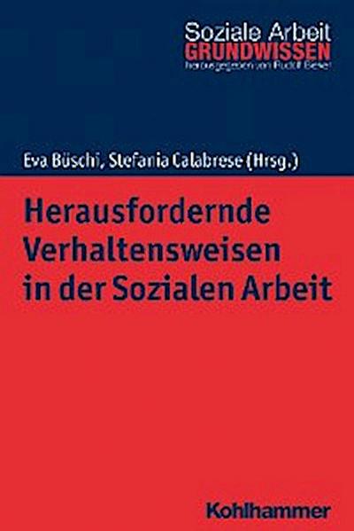 Herausfordernde Verhaltensweisen in der Sozialen Arbeit