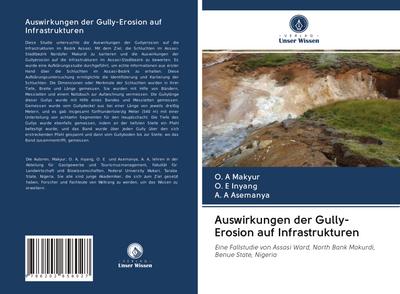 Auswirkungen der Gully-Erosion auf Infrastrukturen
