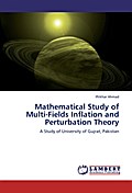 Mathematical Study of Multi-Fields Inflation and P