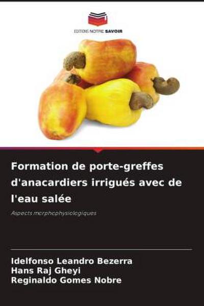 Formation de porte-greffes d’anacardiers irrigués avec de l’eau salée
