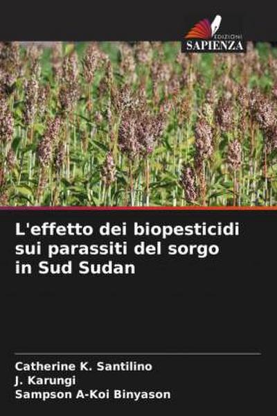 L’effetto dei biopesticidi sui parassiti del sorgo in Sud Sudan