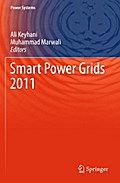 Smart Power Grids 2011