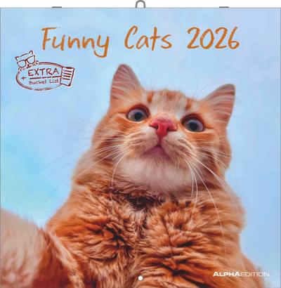 Funny Cats 2026 - Broschürenkalender 30x30 cm (30x60 geöffnet) - Kalender mit Platz für Notizen - Katzen - Bildkalender - Wandplaner - Katzenkalender