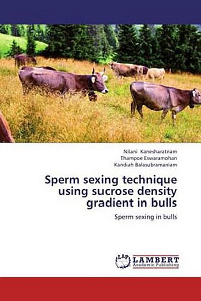 Sperm sexing technique using sucrose density gradient in bulls