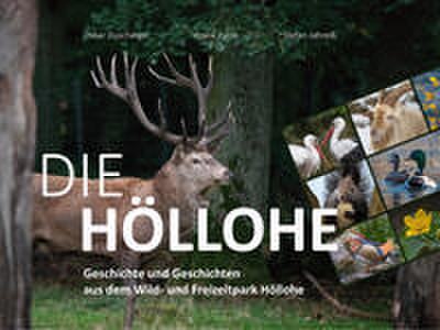 Die Höllohe