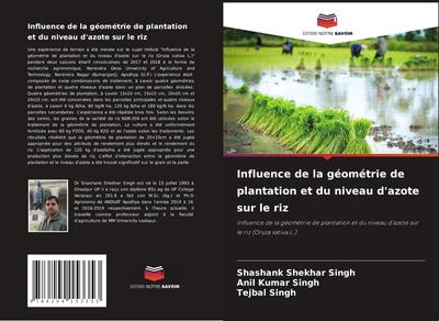 Influence de la géométrie de plantation et du niveau d’azote sur le riz