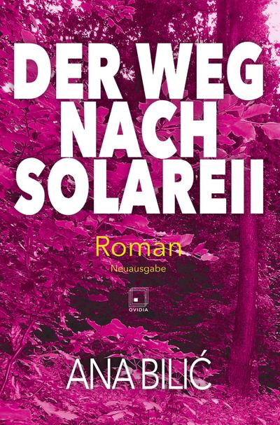 Der Weg nach Solareii