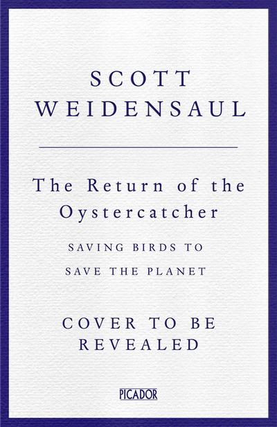The Return of the Oystercatchers