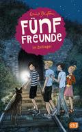 Fünf Freunde im Zeltlager