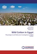 Wild Cotton in Egypt