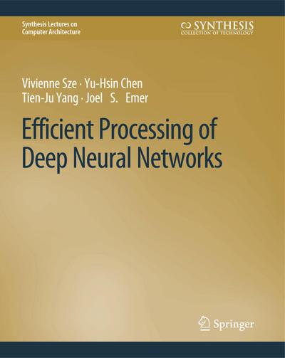 Efficient Processing of Deep Neural Networks