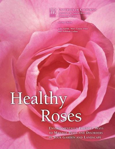 Healthy Roses