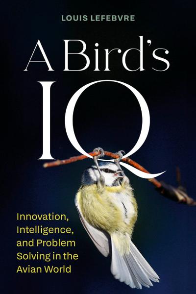 A Bird’s IQ