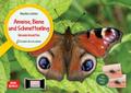 Ameise, Biene und Schmetterling. Unsere Insekten. Kamishibai Bildkarten und Memo-Spiel