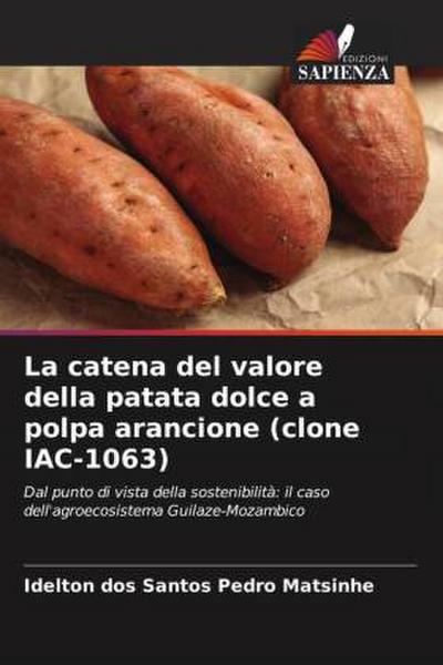 La catena del valore della patata dolce a polpa arancione (clone IAC-1063)