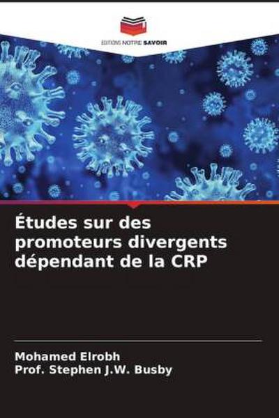 Études sur des promoteurs divergents dépendant de la CRP