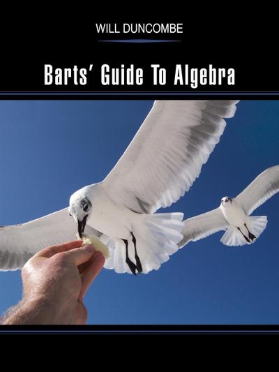 Barts’ Guide to Algebra