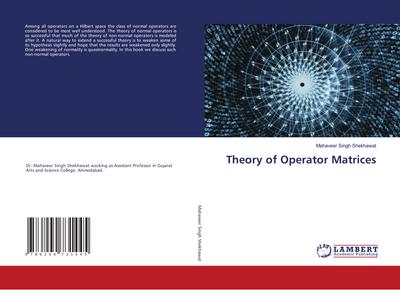 Theory of Operator Matrices