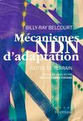 Mecanismes NDN d’adaptation