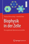 Biophysik in der Zelle