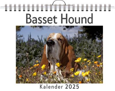 Hartmann, J: Basset Hound