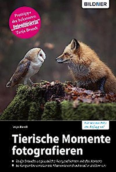 Tierische Momente fotografieren