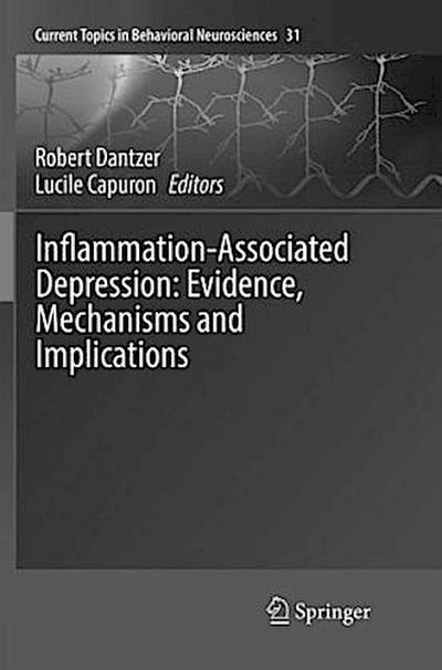 Inflammation-Associated Depression: Evidence, Mechanisms and Implications