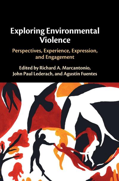 Exploring Environmental Violence
