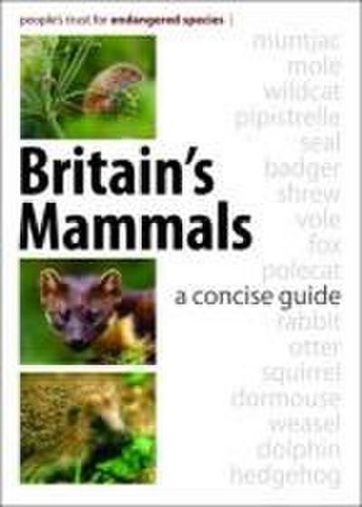 Britain’s Mammals