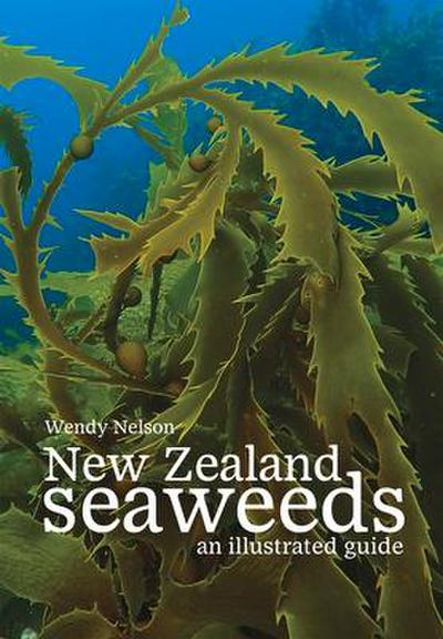 New Zealand Seaweeds