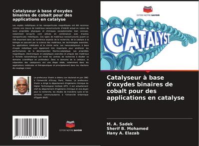 Catalyseur à base d’oxydes binaires de cobalt pour des applications en catalyse