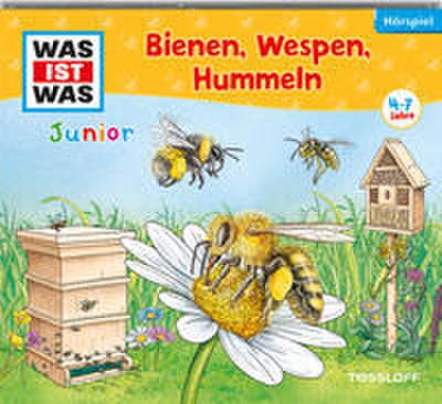 Was ist Was JUNIOR - Bienen, Wespen, Hummeln