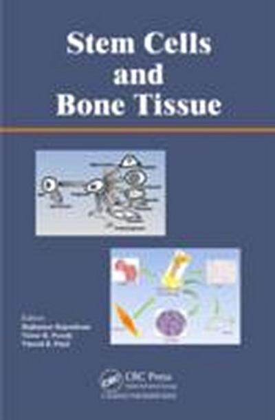 Stem Cells and Bone Tissue