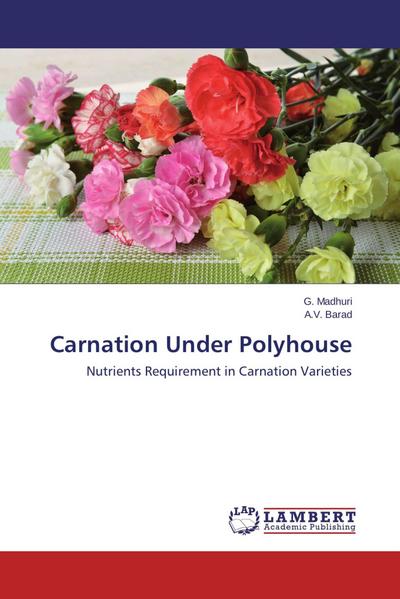 Carnation Under Polyhouse