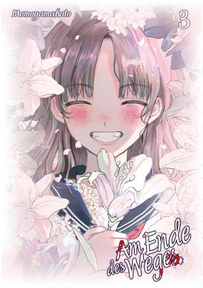 Am Ende des Weges - Band 03 (Abschlussband)