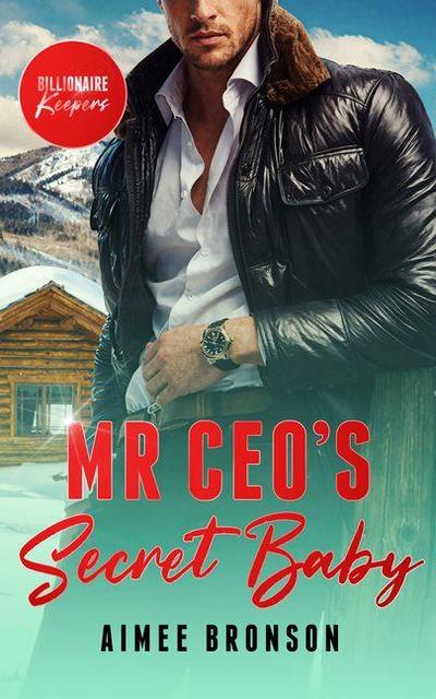 Mr. Ceo’s Secret Baby