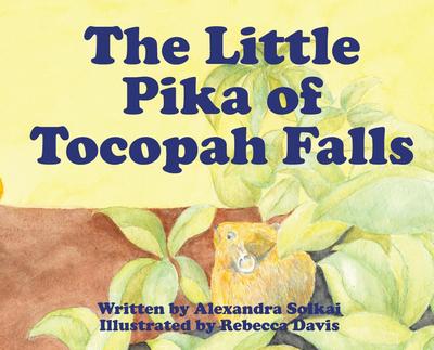 The Little Pika of Tocopah Falls
